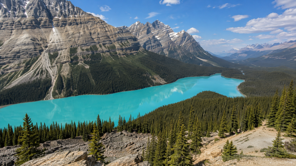 Kanada Banff Ulusal Parkı'ndaki turkuaz Peyto Gölü