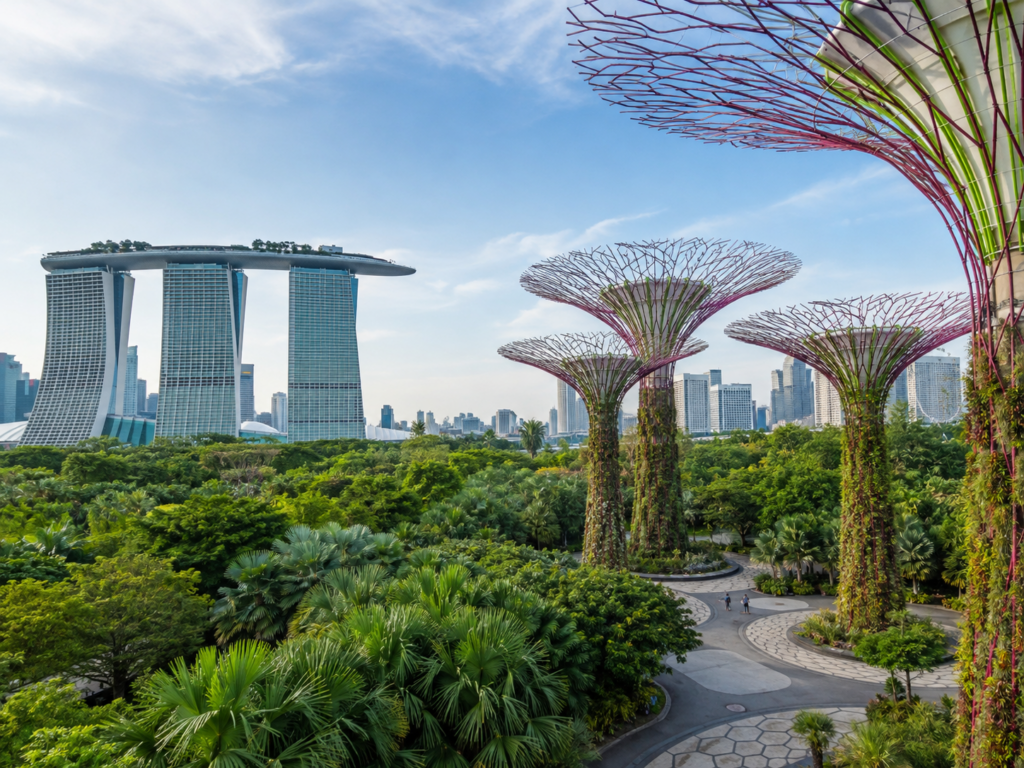 Singapur Gardens by the Bay'de Supertree yapıları, tropikal bahçeler ve şehir manzarası
