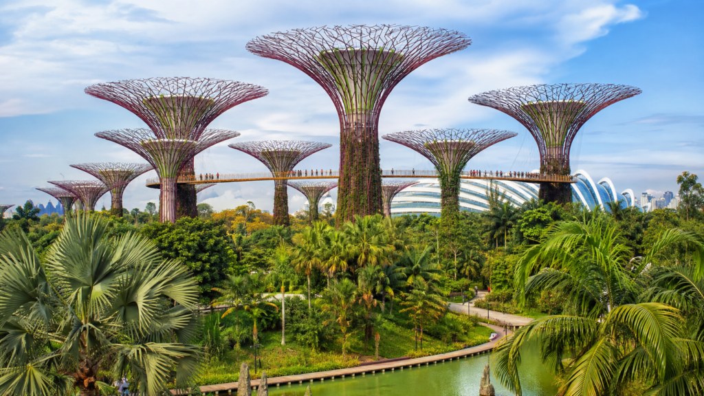 Singapur’daki Gardens by the Bay bahçelerinde yükselen Supertree yapıları