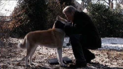 Hachi A Dog's Tale duygusal film önerisi