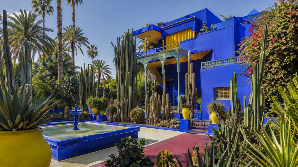 Fas’taki Jardin Majorelle’de mavi yapılar ve kaktüslerle çevrili egzotik bahçe