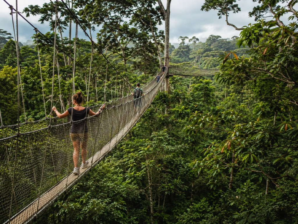 Gana’daki Kakum Canopy Walkway üzerinde yağmur ormanlarının üstünde yürüyen ziyaretçiler