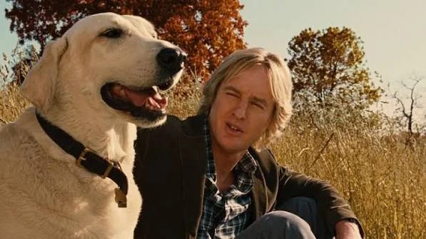 Marley and Me duygusal film önerisi