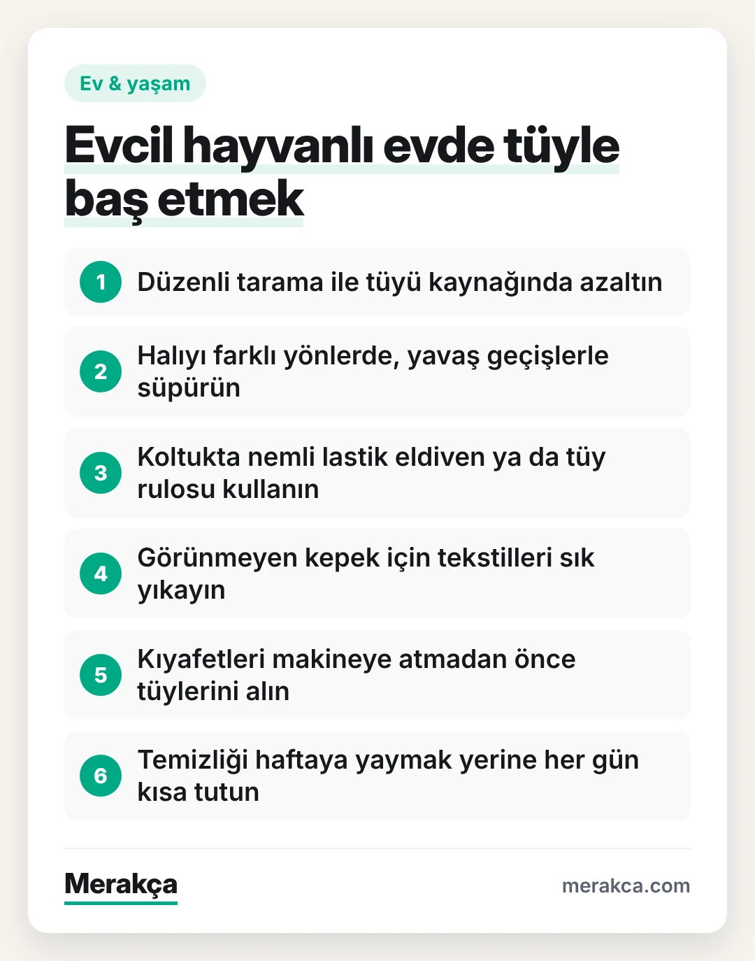 Evcil hayvan sahipleri için tüy ve kepek temizliğinde pratik adımlar