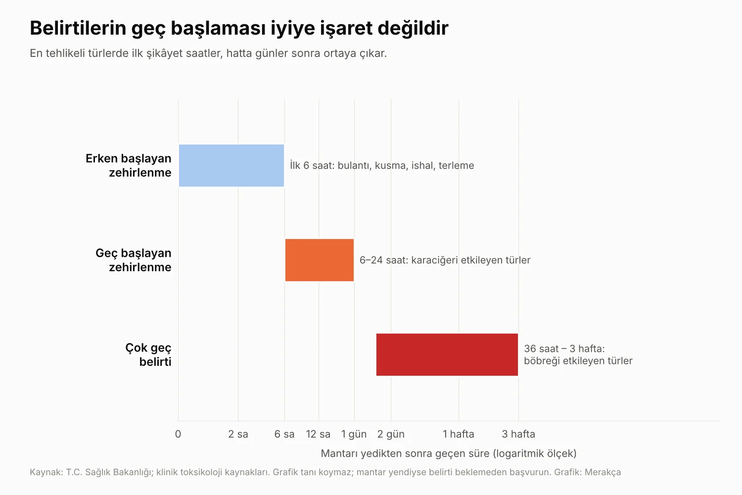 Mantar zehirlenmesinde belirtilerin ilk 6 saatte, 6–24 saatte veya 36 saat–3 hafta arasında başlayabildiğini gösteren grafik