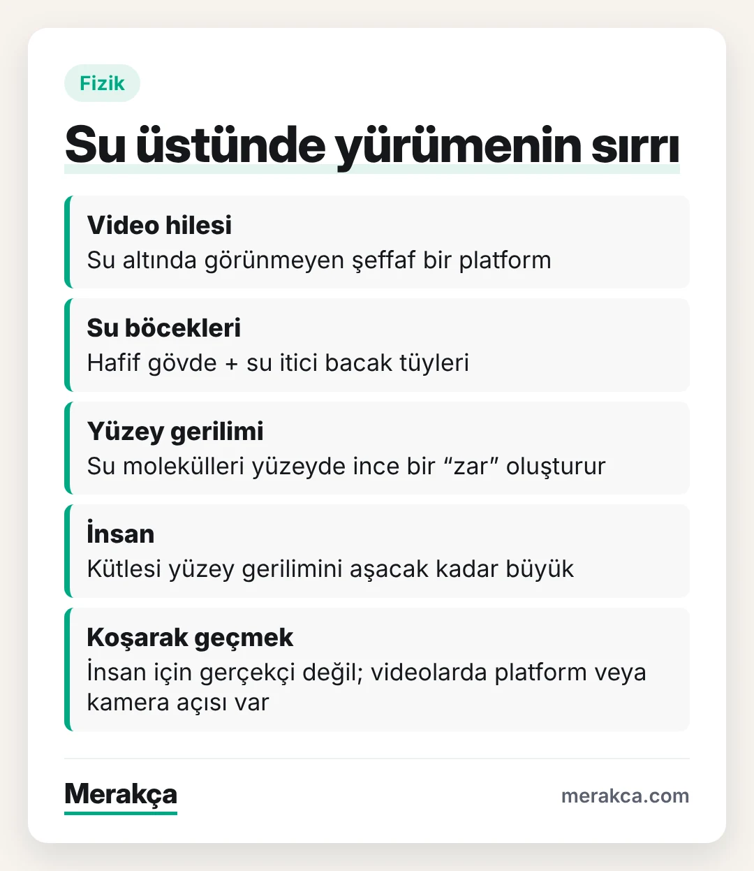 Suyun üzerinde yürüme hilesi ile yüzey geriliminin karşılaştırması